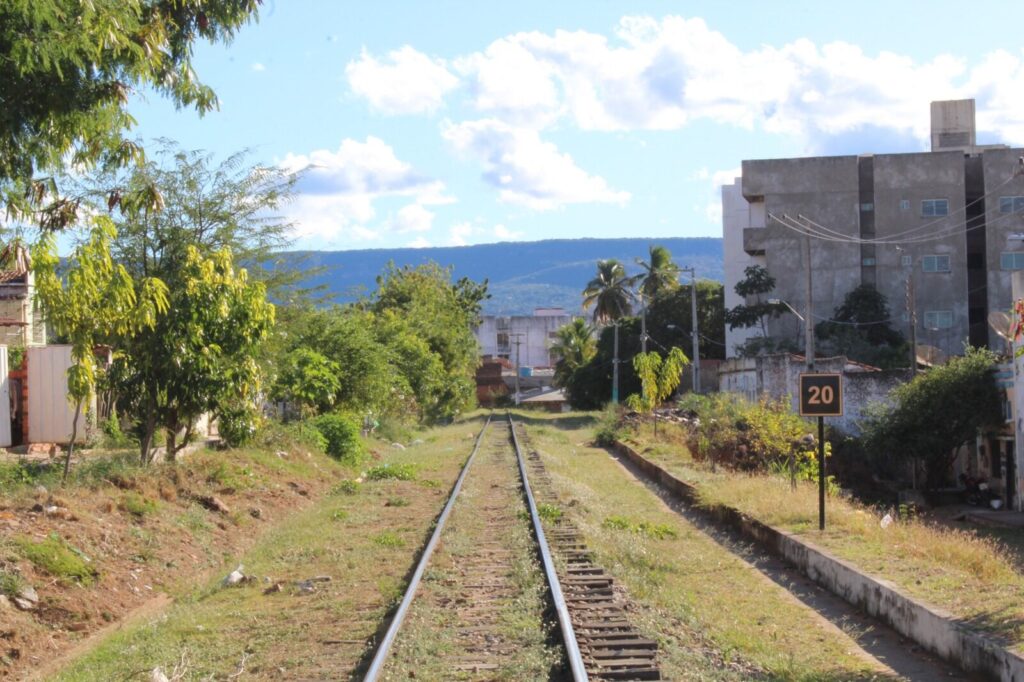 PÁGINA 9 COTIDIANO - Mutirão comunitário vai plantar 60 árvores frutíferas no Sítio Urbano do Gesso 2