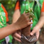 WhatsApp Image 2026-03-30 at 10.09.06