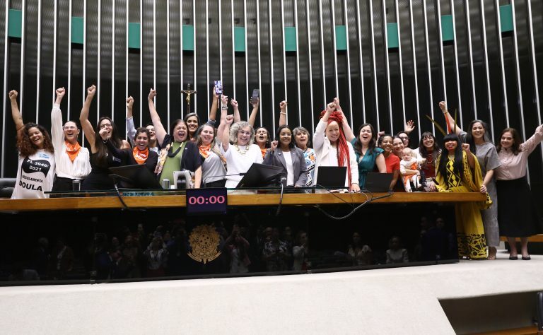 Câmara aprova projeto que regulamenta profissão de doula no Brasil e proposta segue para sanção do presidente Lula