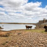 Ceará reduz seca extrema, mas áreas em níveis intermediários avançam quase 48%, diz Monitor de Secas