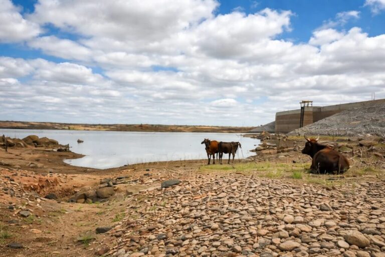 Ceará reduz seca extrema, mas áreas em níveis intermediários avançam quase 48%, diz Monitor de Secas