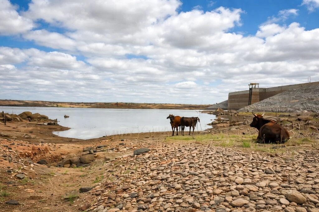 Ceará reduz seca extrema, mas áreas em níveis intermediários avançam quase 48%, diz Monitor de Secas