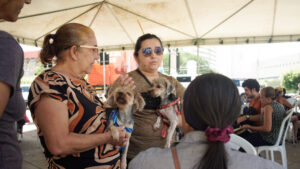 Mutirão de castração chega a Jaguaribe após ação histórica no Cariri e deve atender 250 animais