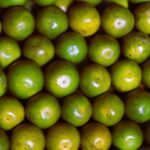 WhatsApp Image 2026-04-25 at 09.00.50