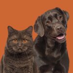 WhatsApp Image 2026-04-27 at 12.06.03