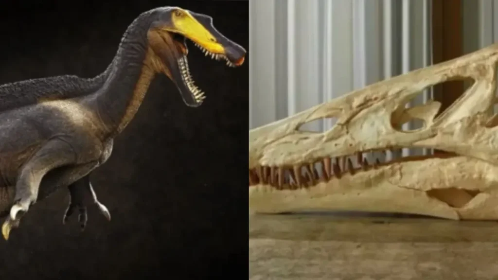 Fóssil de dinossauro cearense levado da Chapada do Araripe será repatriado da Alemanha