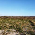 p.3 - Claudiana Mourato-G1