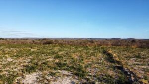 Nos 80 anos precisamos refletir sobre os impactos ambientais na Chapada do Araripe