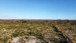 Nos 80 anos precisamos refletir sobre os impactos ambientais na Chapada do Araripe