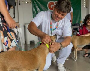 Giro Pet Ceará leva vacinação e encoleiramento antiparasitário para Juazeiro do Norte, Crato e Saboeiro nesta semana