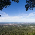 Flona do Araripe completa 80 anos e reforça papel estratégico para o futuro do Ceará