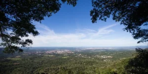 Flona do Araripe completa 80 anos e reforça papel estratégico para o futuro do Ceará