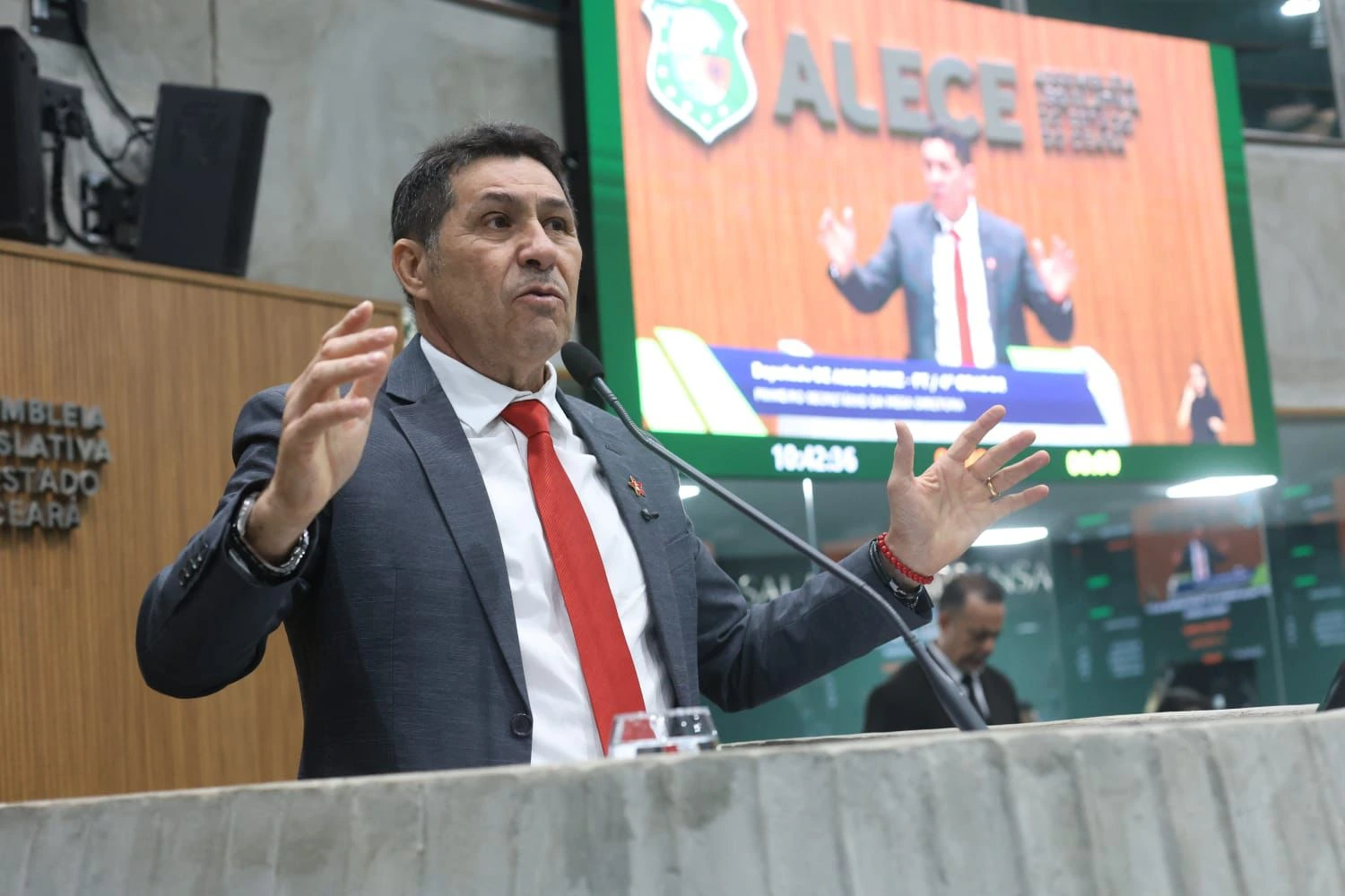 p.12 De Assis Diniz