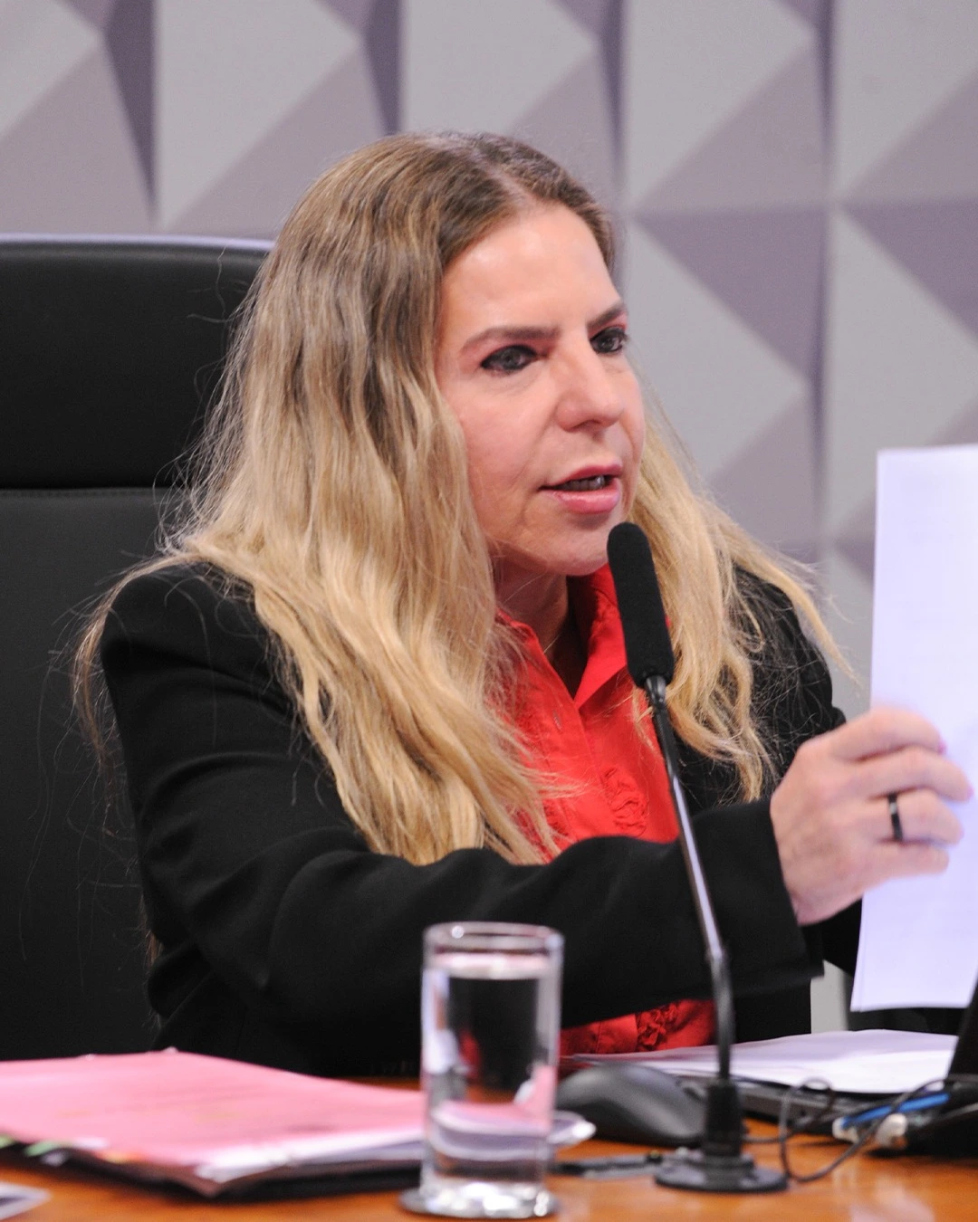 p.14 Com recursos destinados pela deputada Luizianne