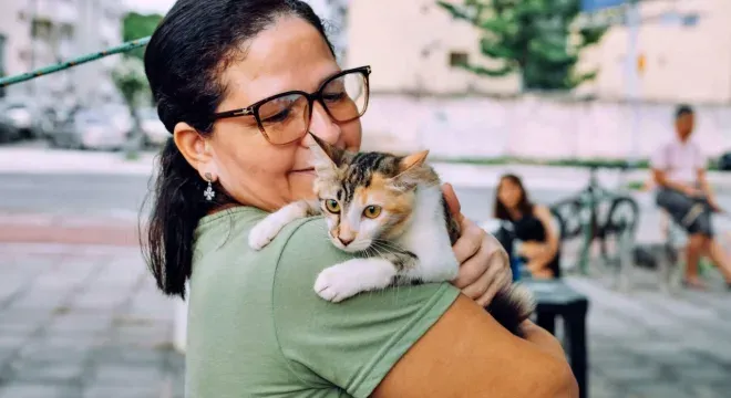 Giro Pet Ceará leva vacinação e encoleiramento gratuito a municípios do Cariri nesta semana 1 Giro Pet Ceará leva vacinação e encoleiramento gratuito a municípios do Cariri nesta semana