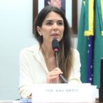Deputada Any Ortiz fala em reunião na Câmara