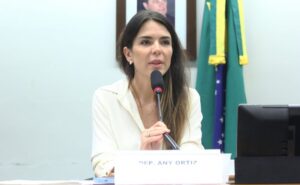 Deputada Any Ortiz fala em reunião na Câmara