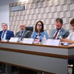 Participantes de audiência pública na Comissão de Educação do Senado