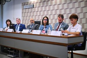Participantes de audiência pública na Comissão de Educação do Senado