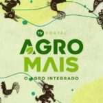 Área de exposição agropecuária com animais e visitantes na Expocrato