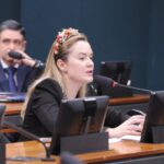 Deputada Julia Zanatta durante reunião na Câmara