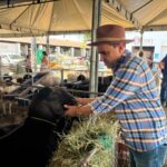 Deputado Pedro Lobo afirma que a ExpoCrato é o Cariri em festa