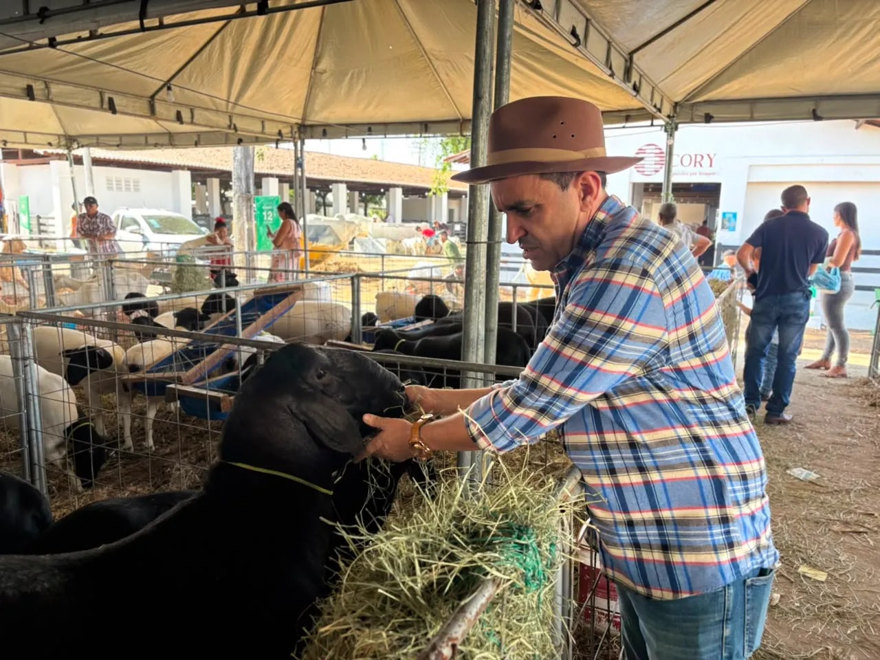 Deputado Pedro Lobo afirma que a ExpoCrato é o Cariri em festa