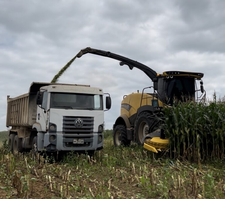 Janela da colheita: modernização da frota do agronegócio impulsionada pelas novas diretrizes do Plano Safra 6 Screenshot