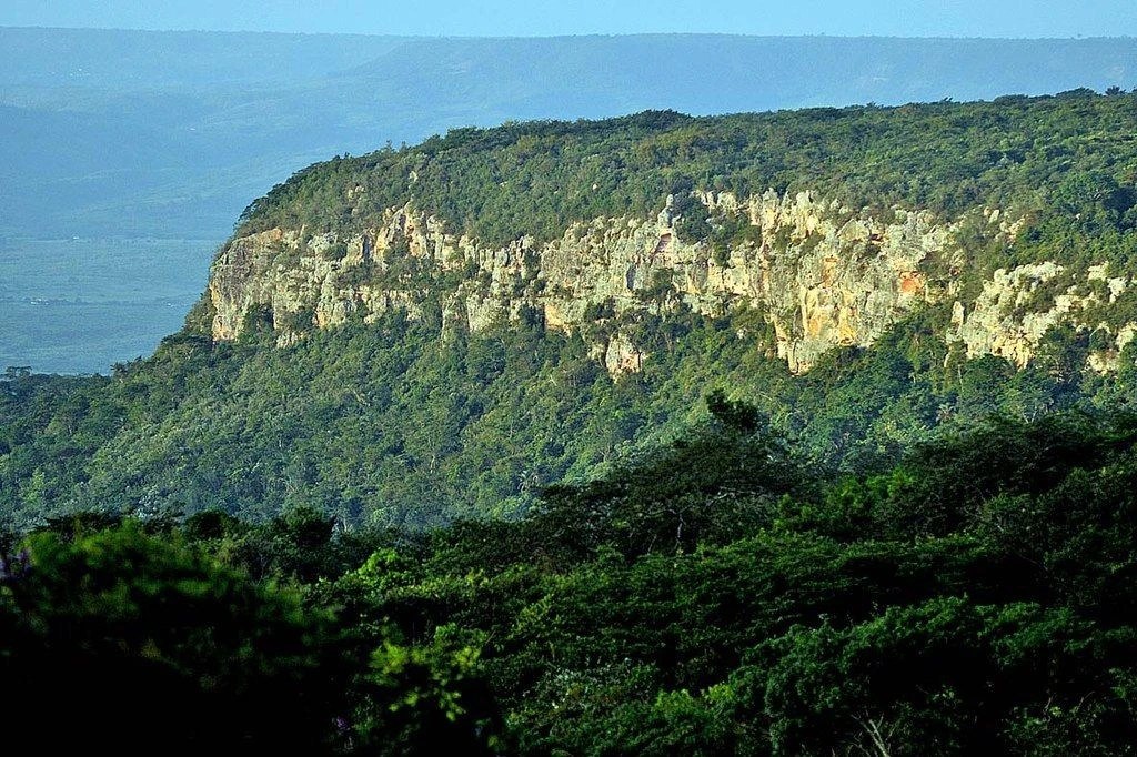 Imagem complementar de Chapada do Araripe: ambientalistas questionam espaço destinado ao agronegócio no novo plano de manejo