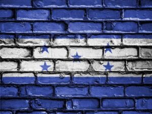 Rita Camacho: A ação direta dos EUA nas eleições de Honduras escancara os riscos que o Brasil corre