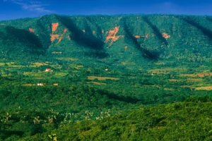 Ato no Crato reúne movimentos em defesa da Chapada do Araripe